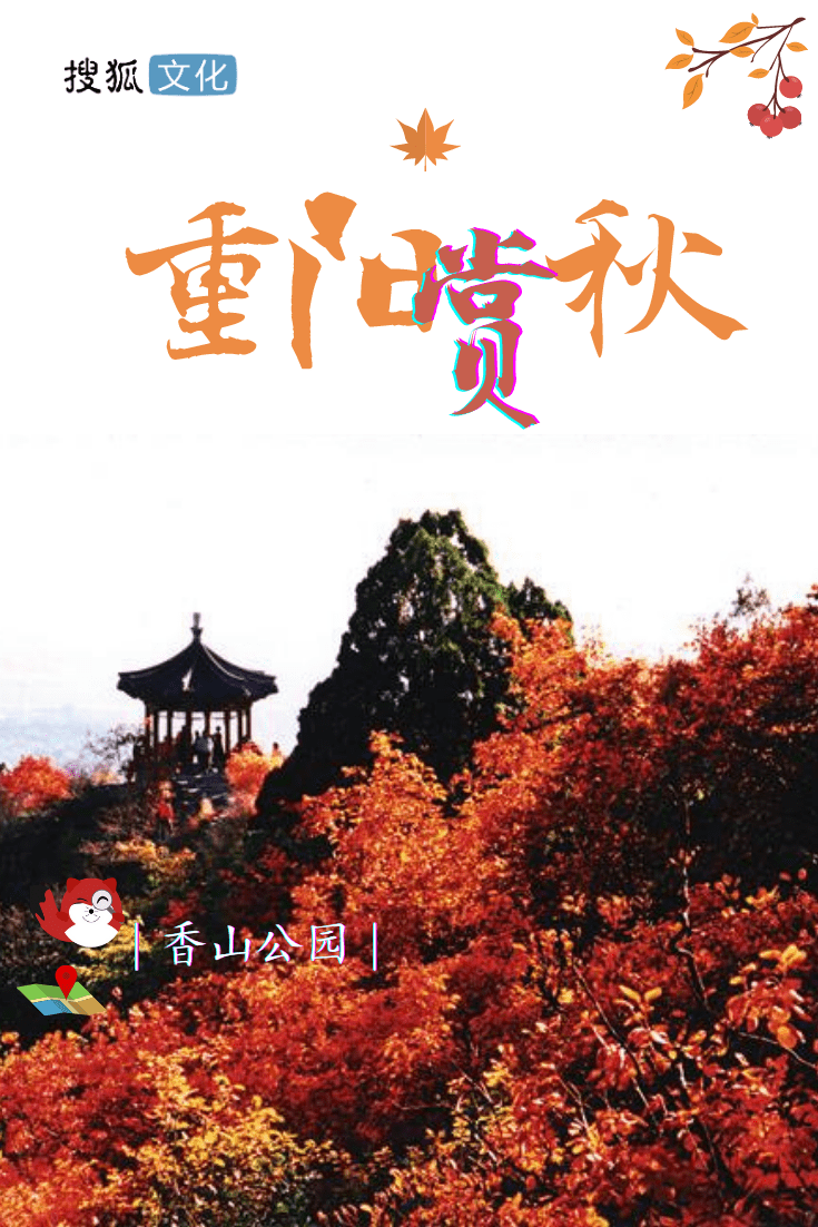 重阳节将至,红叶正当时!北京赏秋指南,速来查收