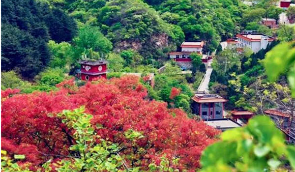 重阳节将至,红叶正当时!北京赏秋指南,速来查收