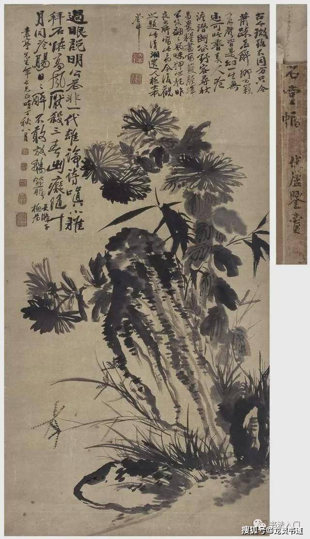 写菊|八大和苦瓜