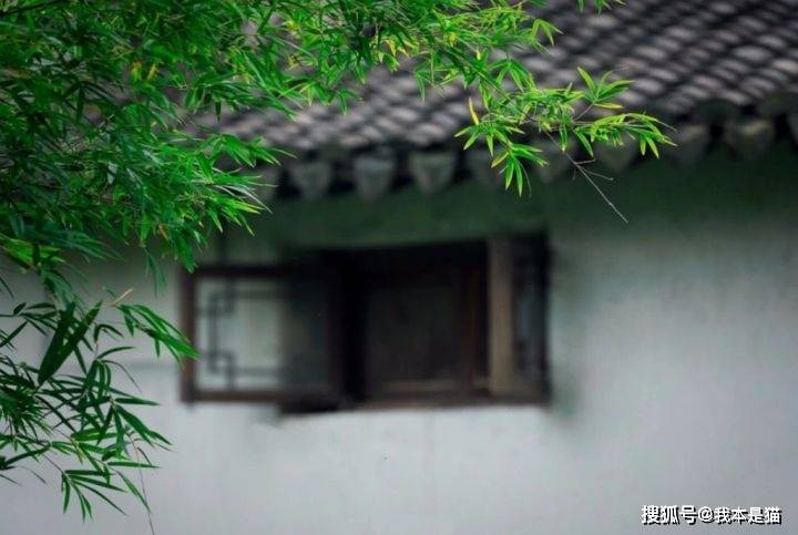 放下曾经那个执著,进阶生命永恒的真实