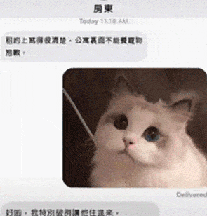 猫爬架眼看就要塌了,猫非要再上去坐,结果……
