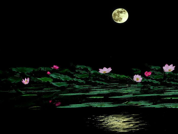 诗词荟萃——随善诗选