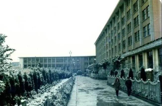 1993年,成都下了一场北方的雪