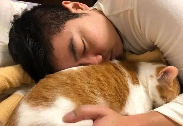 她养10年被猫“家暴”,孤僻猫才认识老公3年,却整天黏在一起
