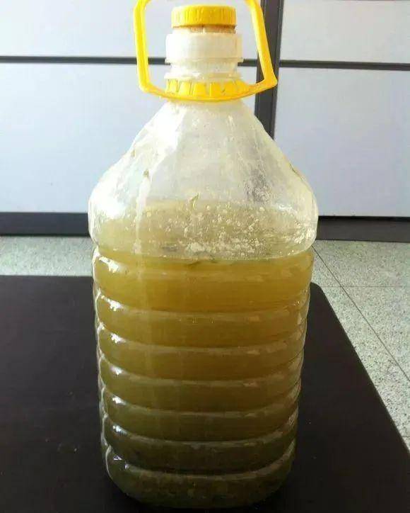 吃剩的西瓜皮竟然可以养花,效果还特别棒