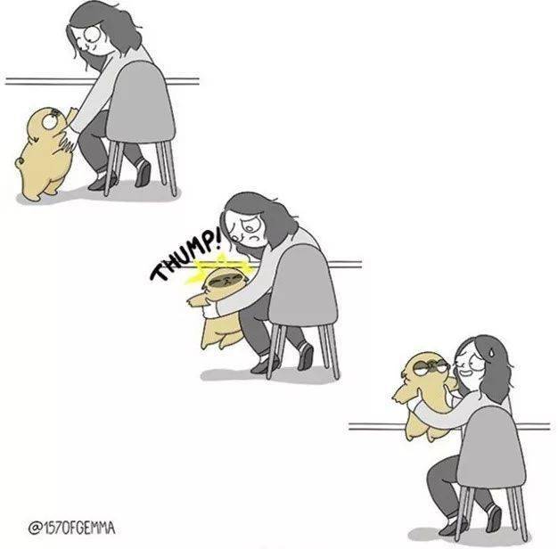 你养狗也这样,准的我无话可说
