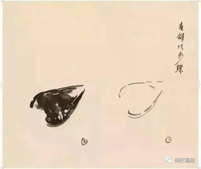 徐悲鸿“手把手”教画花鸟,干货。