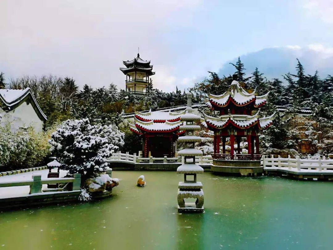 一场大雪,让烟台美翻全国