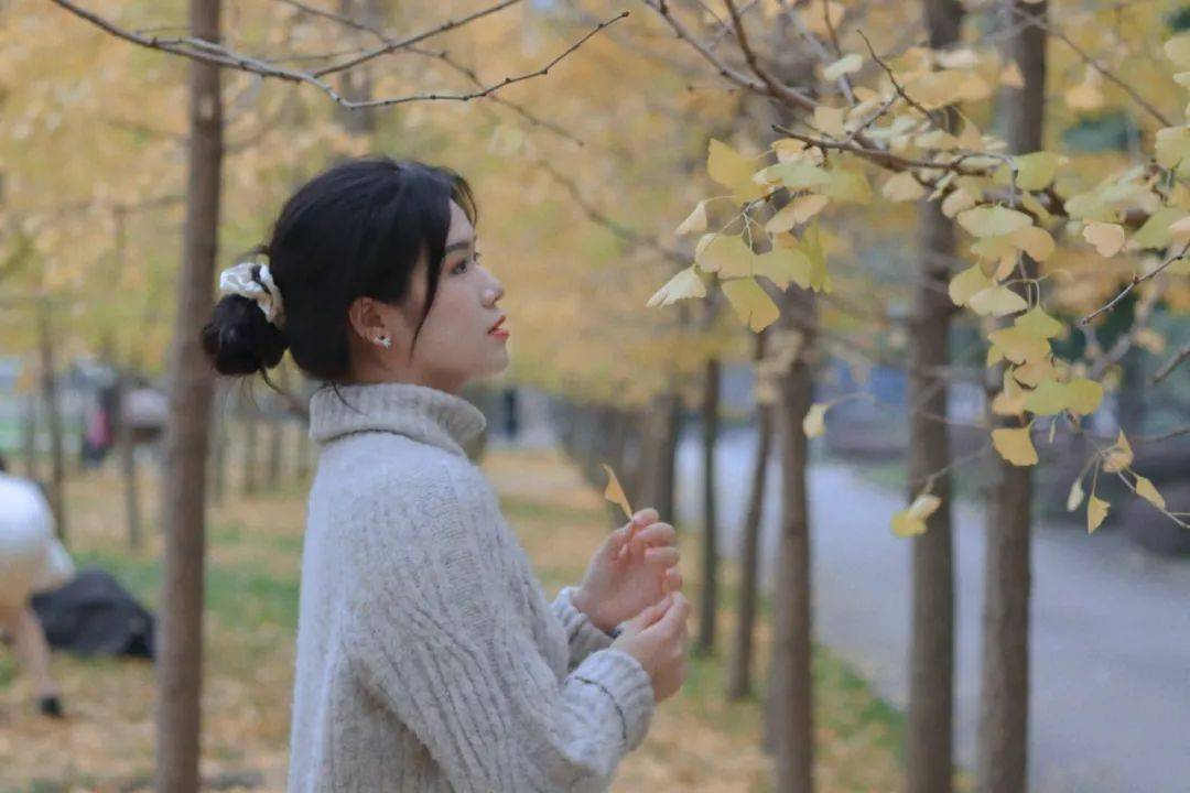 西华的银杏,美滴很!