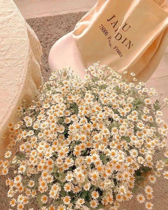 送我一束花吧,生活需要仪式感