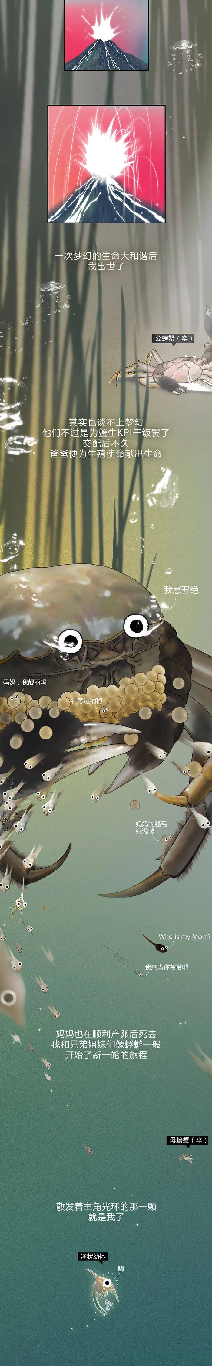 蟹塘梦幻曲