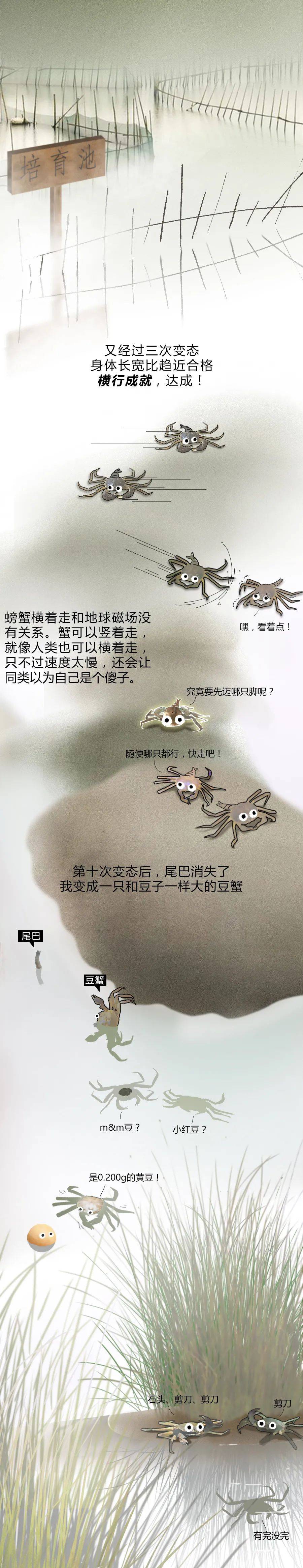蟹塘梦幻曲