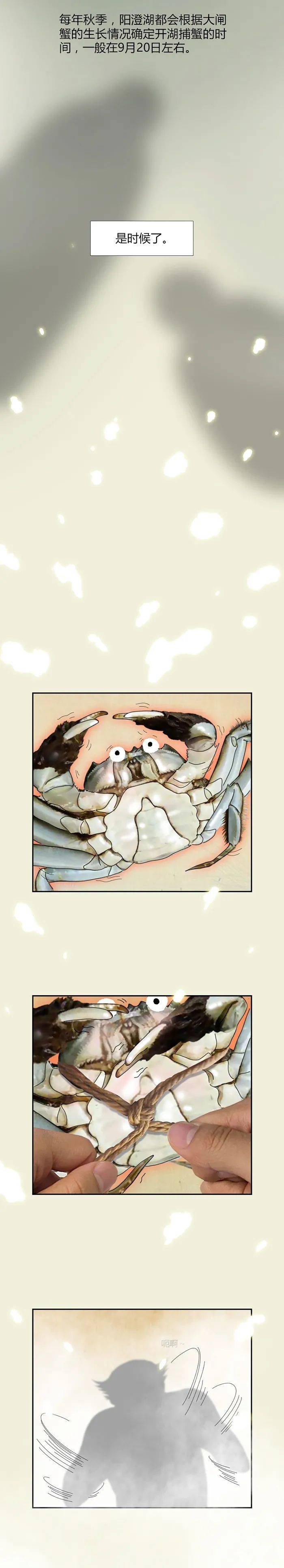 蟹塘梦幻曲