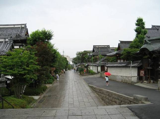 顺应天道,合乎自然,勿与天地斗巧