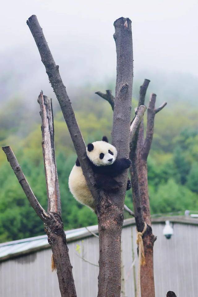 30个中国最美的地方,看到第三个,就忍不住想要出发了
