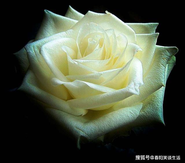 说到心里的情感句子,句句入骨,令人泪奔