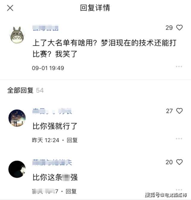 登上KPL大名单,梦泪为什么一句话都不回应?得知原因,大家错怪他了