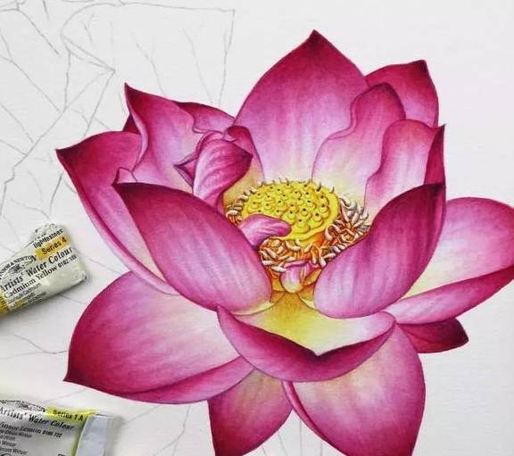 她的水彩画有一种工笔画的细腻感,半路出家逆袭成水彩大师