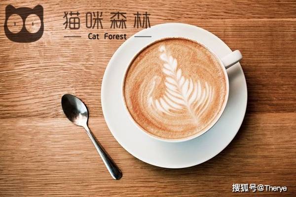 咖啡和奶茶不一样,猫咪森林却两者都拥有