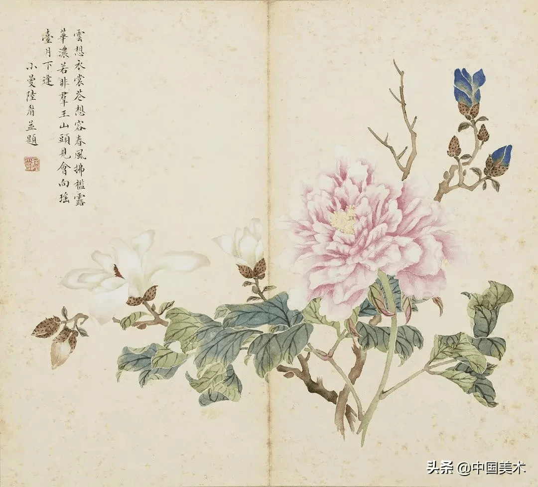 陆小曼花卉册页,惊艳
