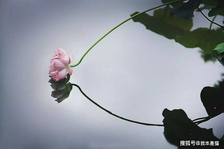我们需要过一种有修养的生活