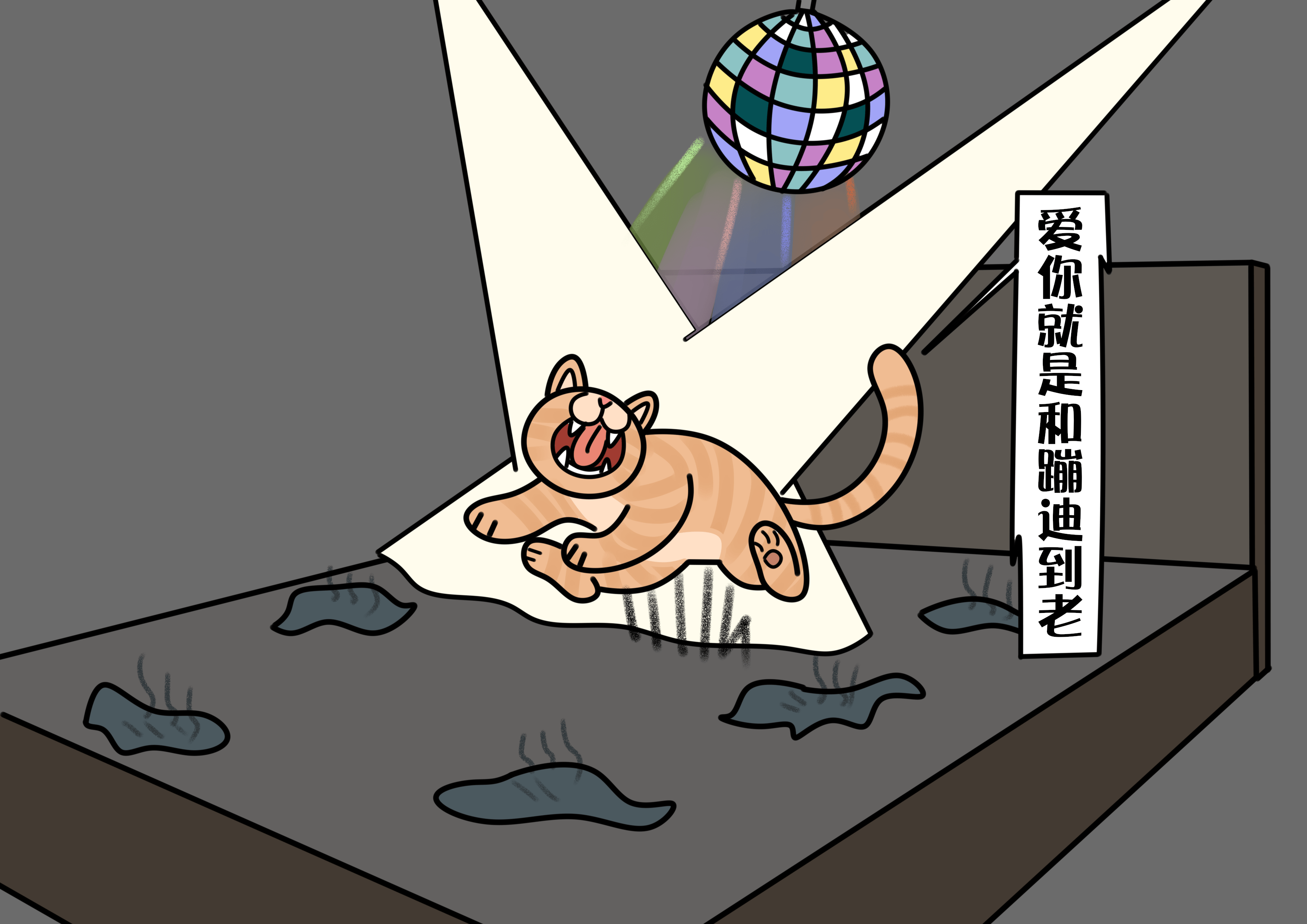 谁说猫养不熟还没良心?猫咪关心你的三种表现,快去奖励它们!