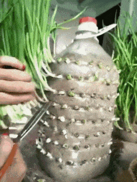 搞笑GIF段子:能不能脱单就看这一次,希望妹子不要拒绝我