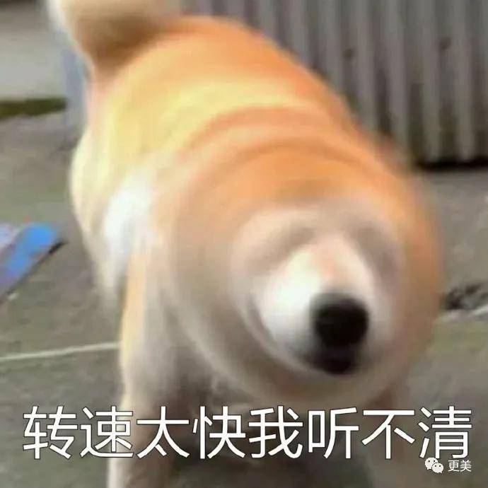 5亿投资打水漂?赵丽颖当真带不起王一博?
