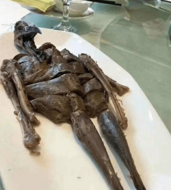 千万不要挑衅一个胖子,不然你会很惨