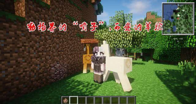 “什么垃圾画质?”玩了《我的世界》才知道什么是“真香定律”!