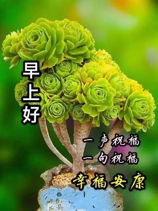 2020最新漂亮早上好问候动态图 五月最美微信早上好祝福语图带字