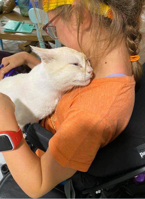 坐电动轮椅去领养猫,很多猫都被吓跑,唯有它敢主动接近!