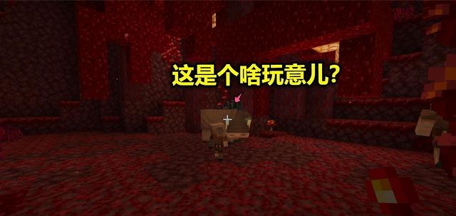 我的世界:玩家弃坑一年,重新进入游戏后,发现一切都变了!