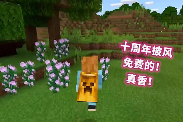 我的世界:MC年度盛会讲了些啥?下界出现新生物,TNT可一键盖房