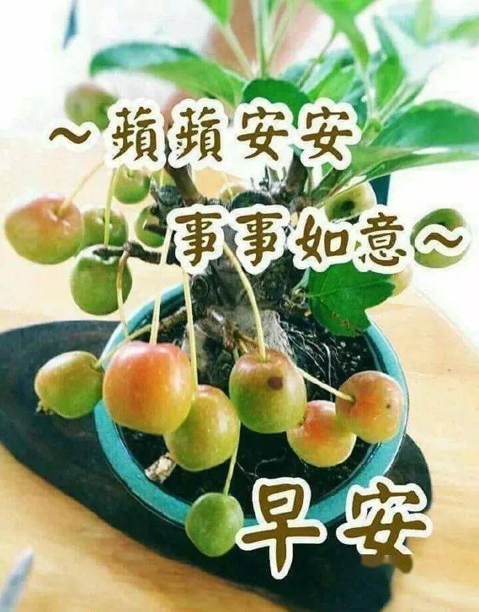 周末问候大家早上好祝福语录图片 特漂亮早上好图片表情动态带字
