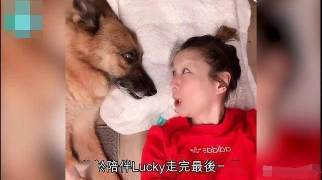 郑秀文许志安挽手逛街,许志安状态不佳难掩愁容,难道破镜真的能重圆?