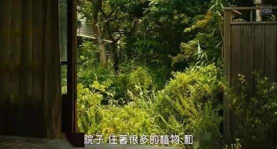这位日本国宝级艺术家告诉你:不受名利影响的人生有多惬意!