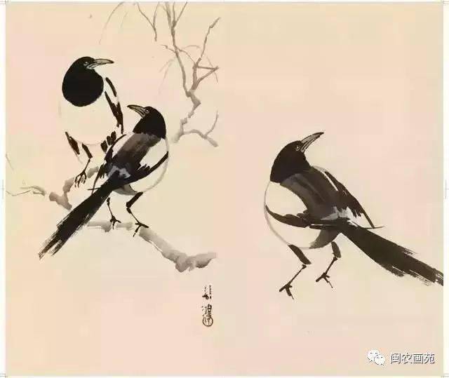 徐悲鸿“手把手”教画花鸟,干货。