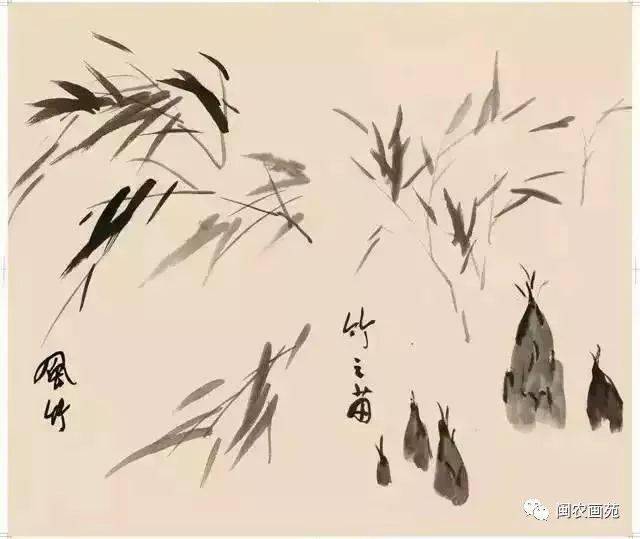 徐悲鸿“手把手”教画花鸟,干货。