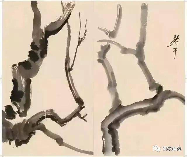 徐悲鸿“手把手”教画花鸟,干货。
