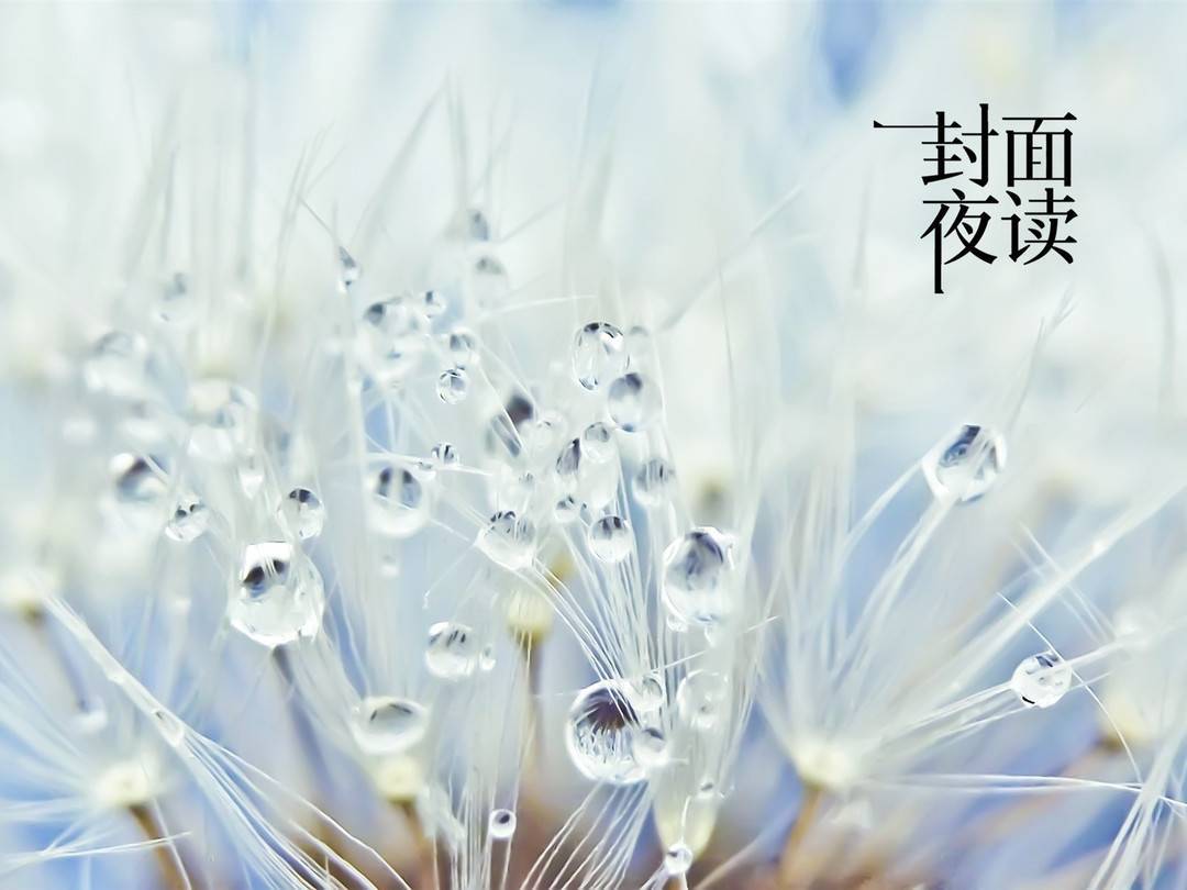 封面夜读|大胆承认,没有什么可丢人的