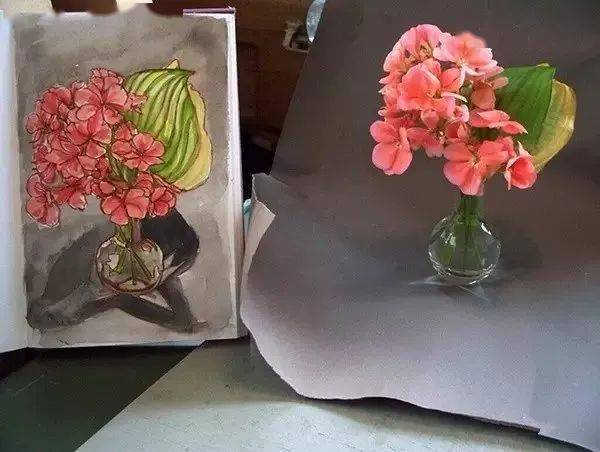 这位老兄弟呀,把自己花园植物画了个遍..