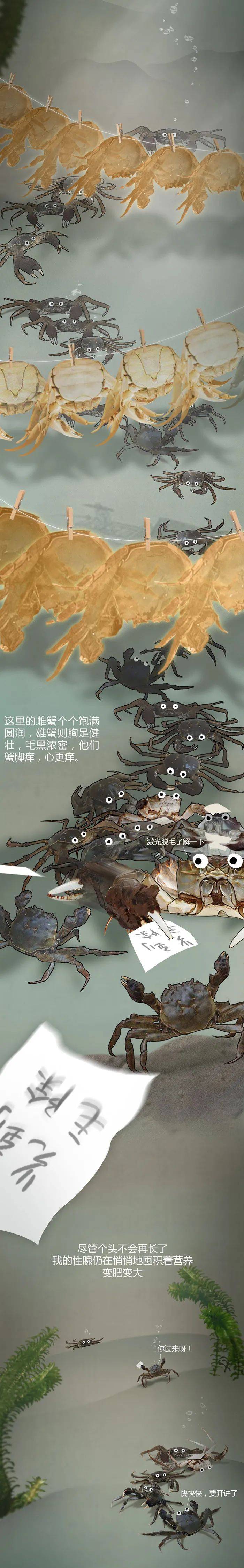 蟹塘梦幻曲