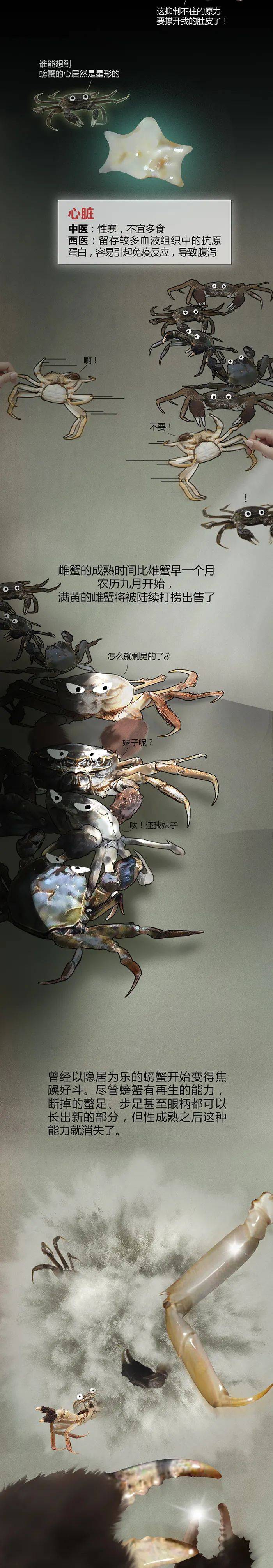 蟹塘梦幻曲