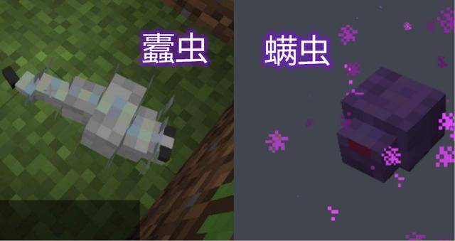 我的世界:蠹虫在灵魂沙上会窒息死亡?很像的螨虫,却能自主消失