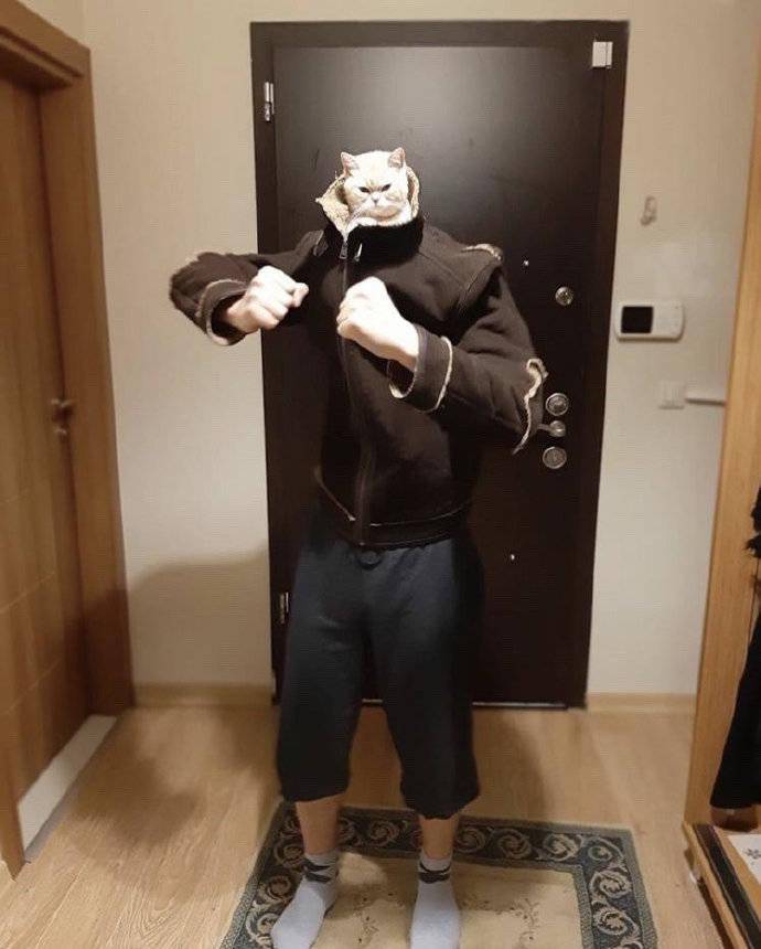 喵星人这表情也太到位了吧,和铲屎官配合得天衣无缝啊。