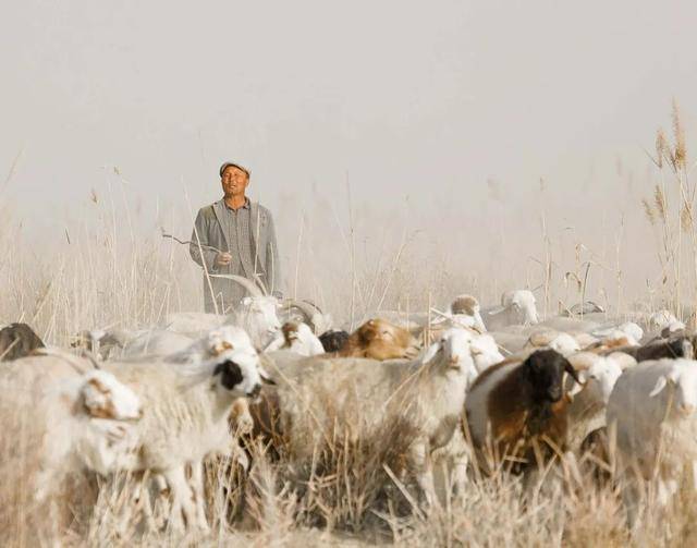 【转载】“玉石般的地方”,总有一天,我的终点是喀什!