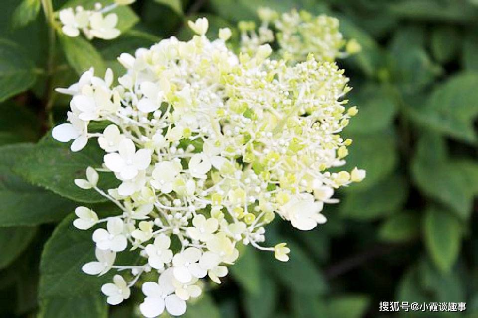 通透睿智的人生感悟句子,句句经典,意义深远