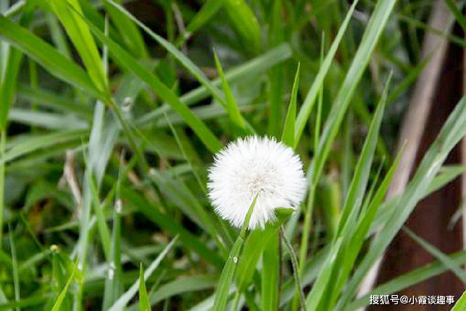 很走心的生活感悟短信,句句有深意,让人回味无穷