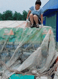 爆笑GIF:这新娘你敢娶回家吗,哈哈